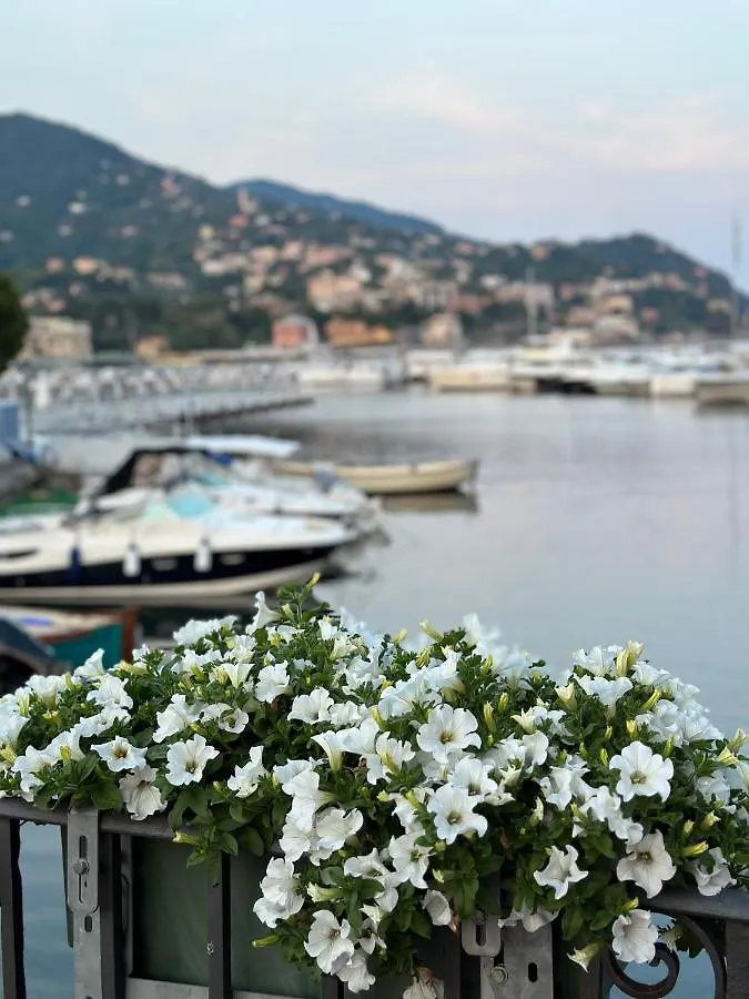 Town Flat Rapallo - Free Parking 0*,  Italy